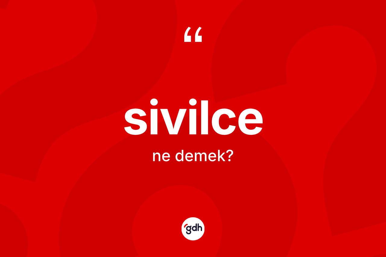 Sivilce kelimesi nedir? Sivilce kelimesinin TDK anlamı nedir?