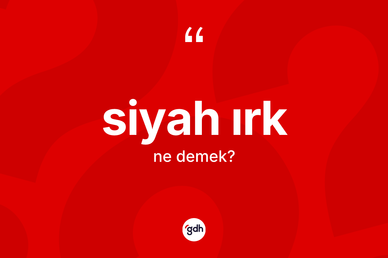 Siyah ırk kelimesinin anlamı nedir? Siyah ırğın TDK'ya göre anlamı nedir?