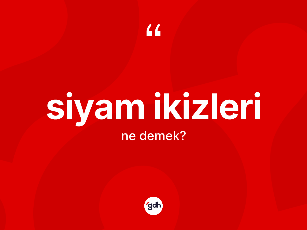 Siyam ikizleri kelimesi ne demek? Siyam ikizlerinin halk arasındaki kullanımı nasıldır?