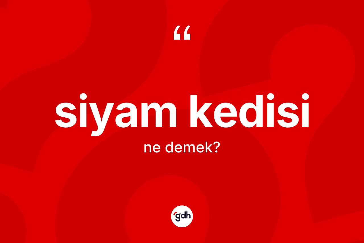 Siyam kedisi kelimesi ne demek? Siyam kedisinin halk arasındaki kullanımı nasıldır?