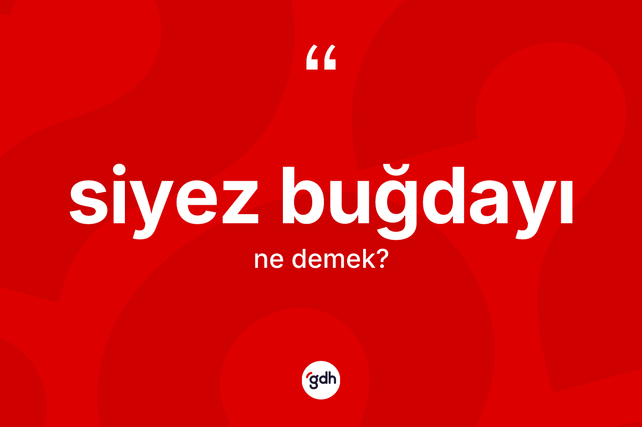 Siyez buğdayı nedir?
