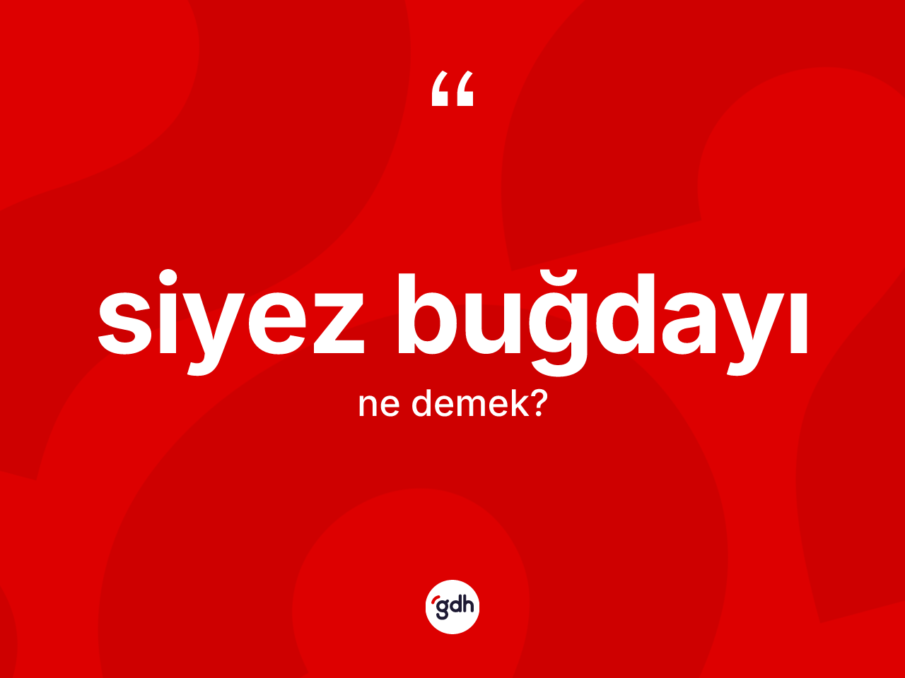 Siyez buğdayı nedir? Siyez buğdayının TDK'ya göre anlamı nedir?