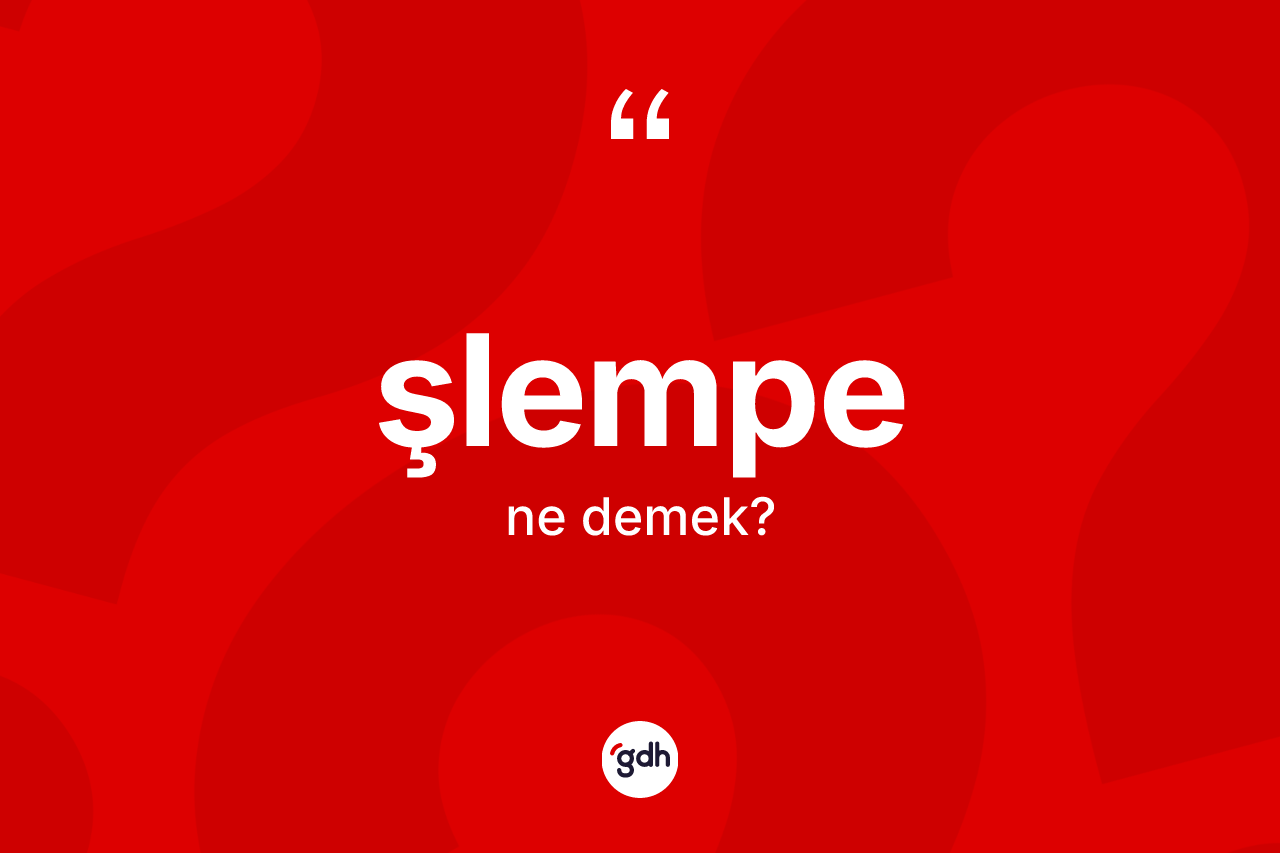 Şlempe ne anlama gelir?