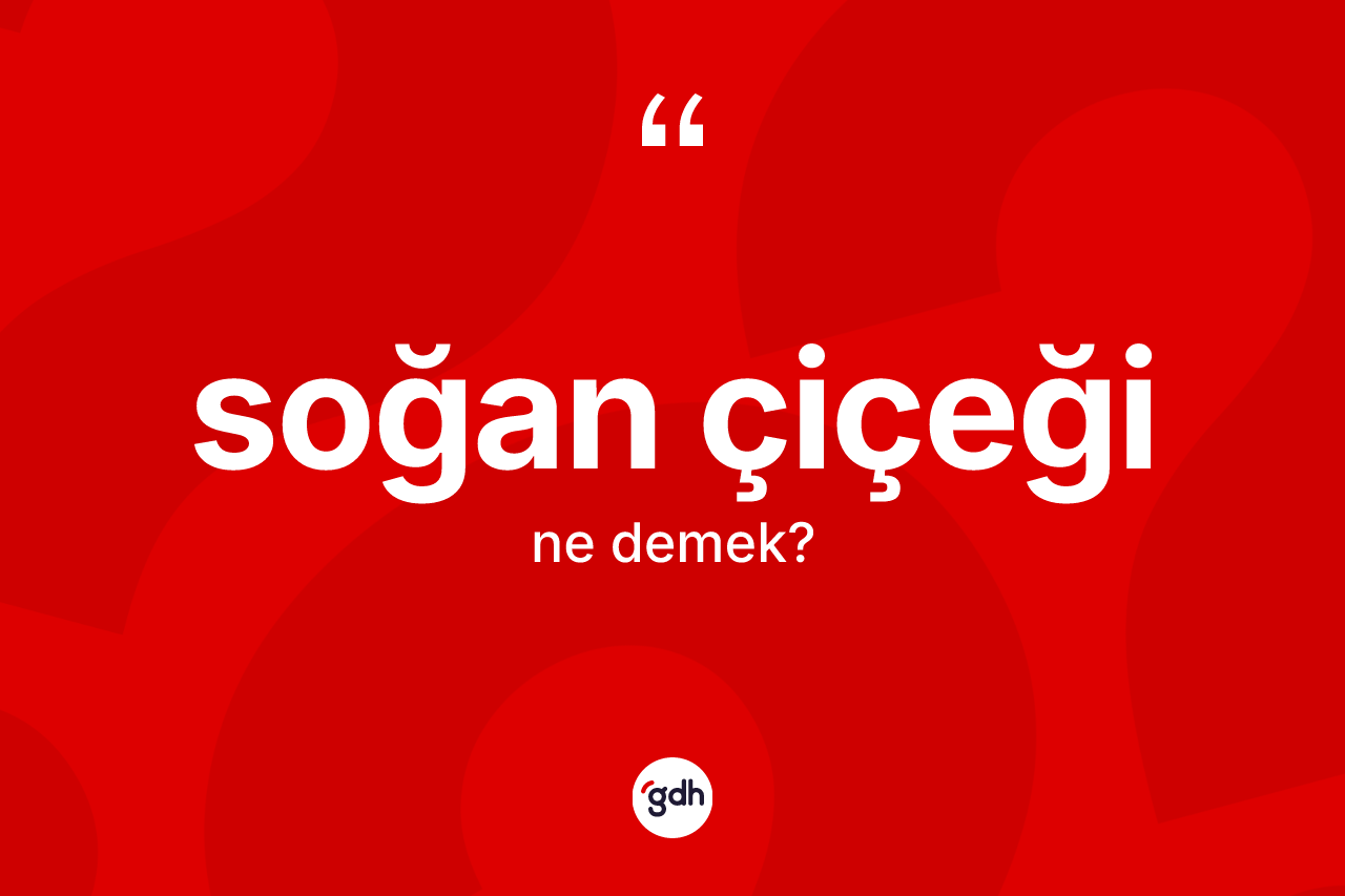 Soğan çiçeği kelimesinin sözlükteki tanımı nedir?