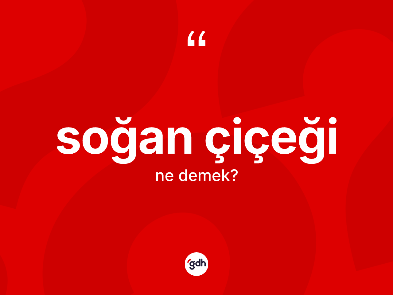 Soğan çiçeği kelimesinin sözlükteki tanımı nedir? Soğan çiçeğinin TDK'ya göre anlamı nedir?