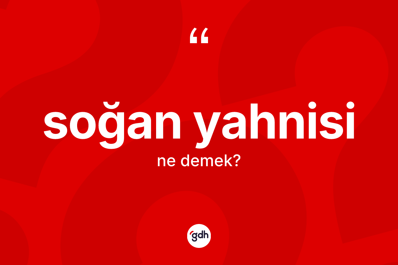 Soğan yahnisi kelimesinin sözlükteki tanımı nedir?
