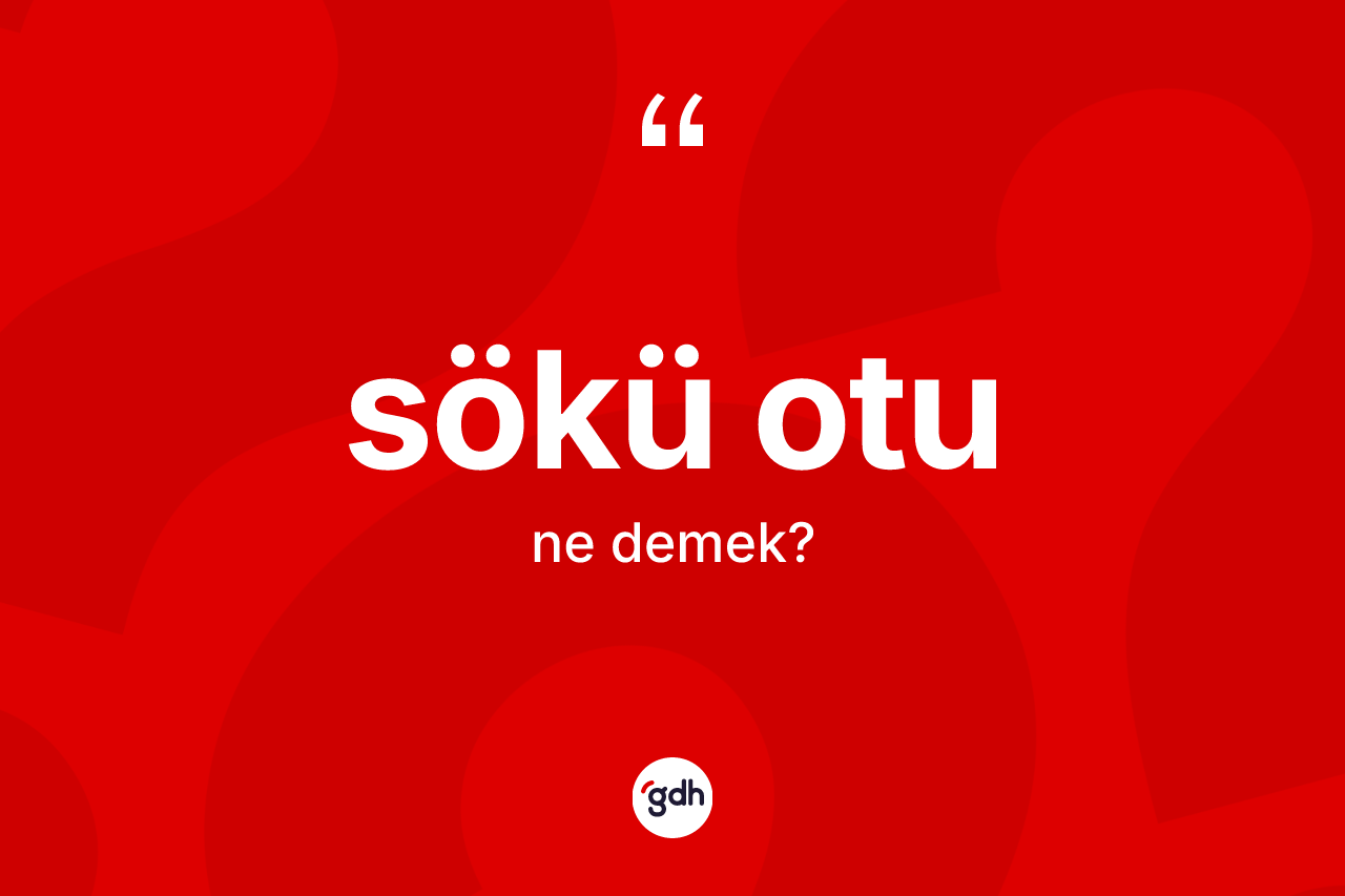 Sökü otu kelimesinin sözlükteki tanımı nedir?