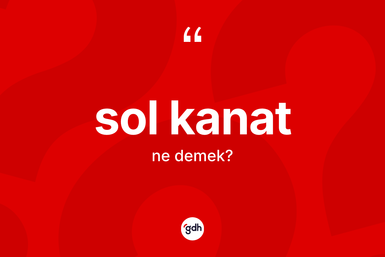 Sol kanat ne demek? Sol kanadın TDK'ya göre anlamı nedir?