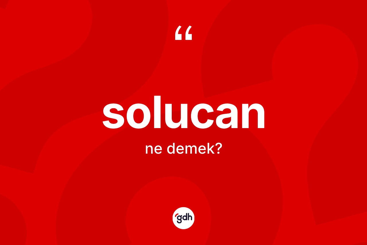 Solucan nedir?