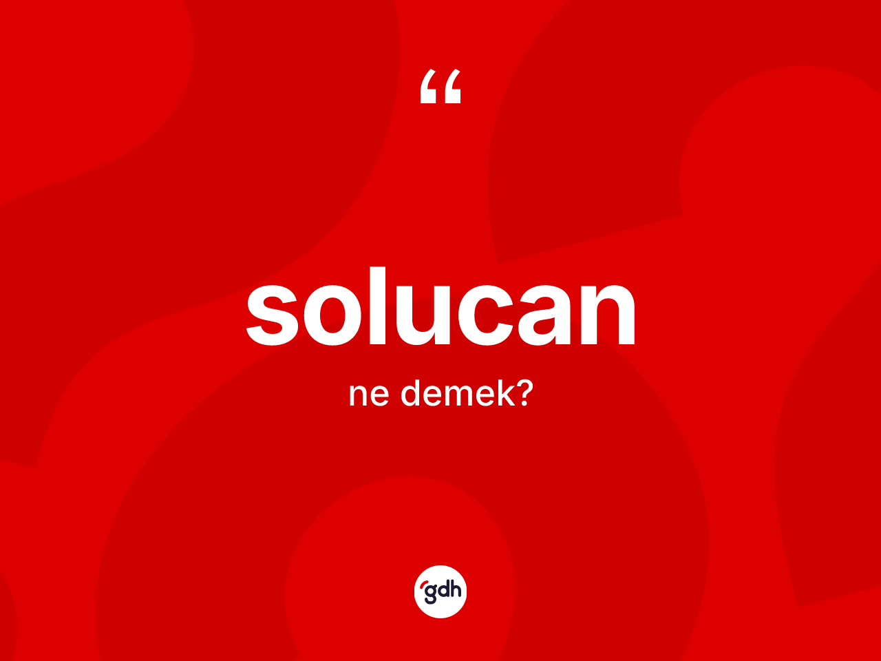 Solucan nedir? Solucan kelimesinin TDK'ya göre açıklaması nedir?