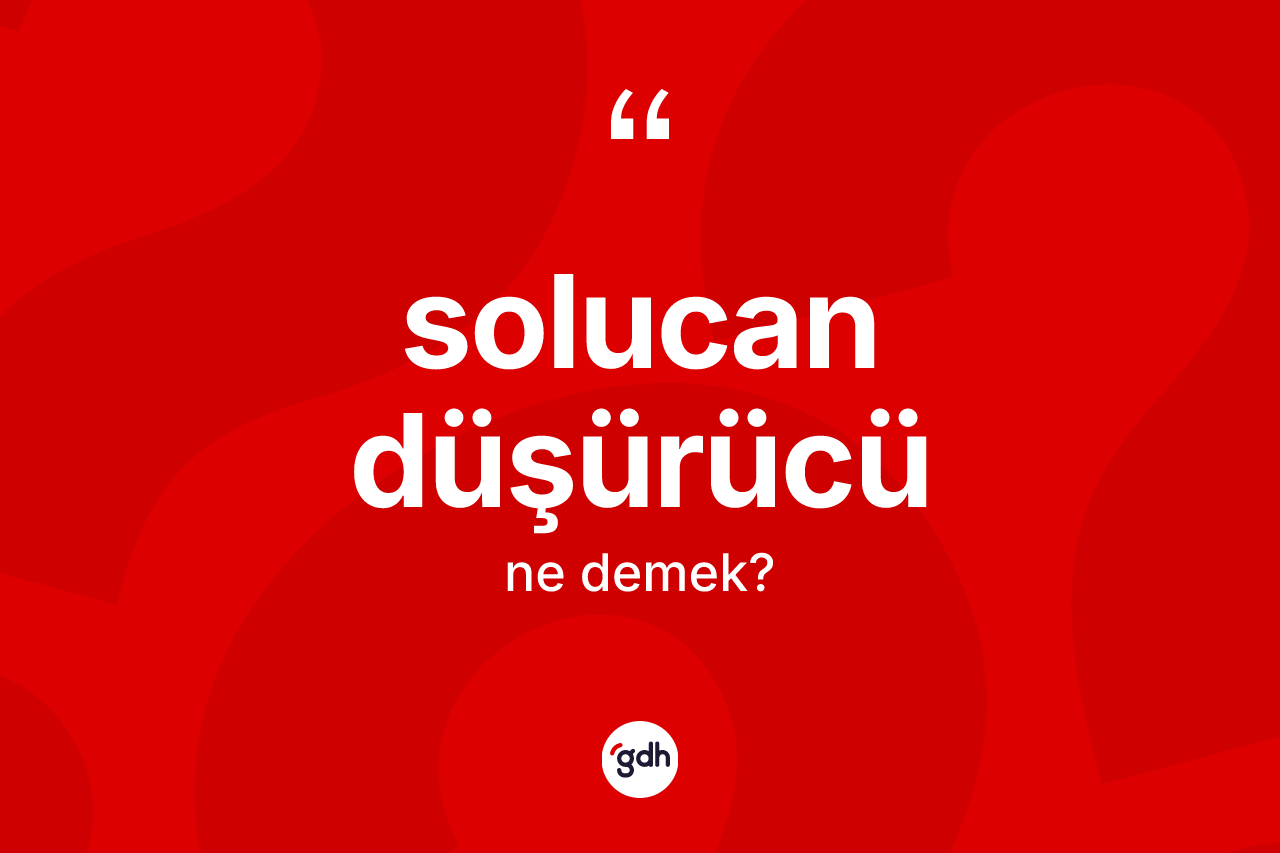 Solucan düşürücü kelimesinin anlamı nedir? Solucan düşürücünün TDK'ya göre anlamı nedir?
