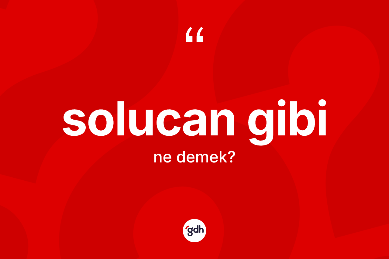 Solucan gibi ifadesinin kısaca anlamı nedir? Solucan gibi ifadesinin kaç farklı anlamı var?