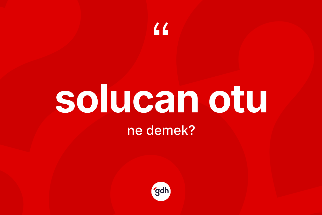 Solucan otu kelimesi ne anlama gelir?