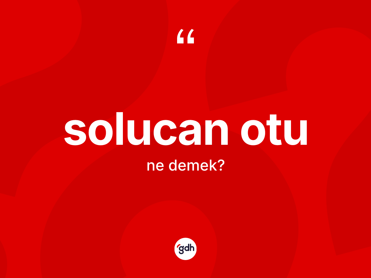 Solucan otu kelimesi ne anlama gelir? Solucan otunun TDK'ya göre anlamı nedir?