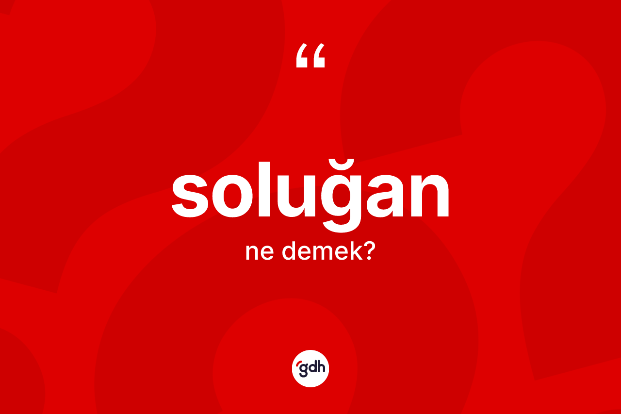 Soluğan kelimesinin tanımı nedir? Soluğanın TDK'ya göre anlamı nedir?