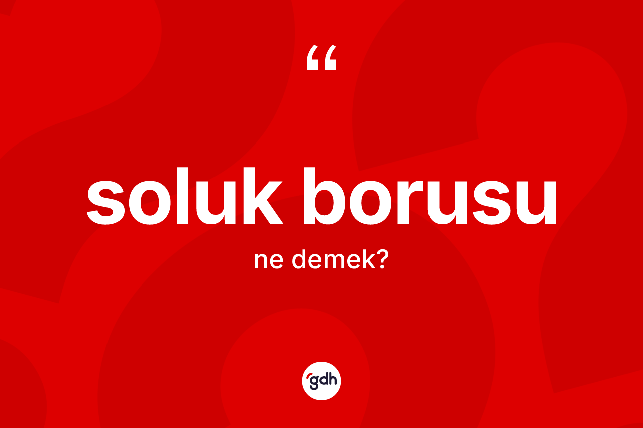 Soluk borusu kelimesi nedir?