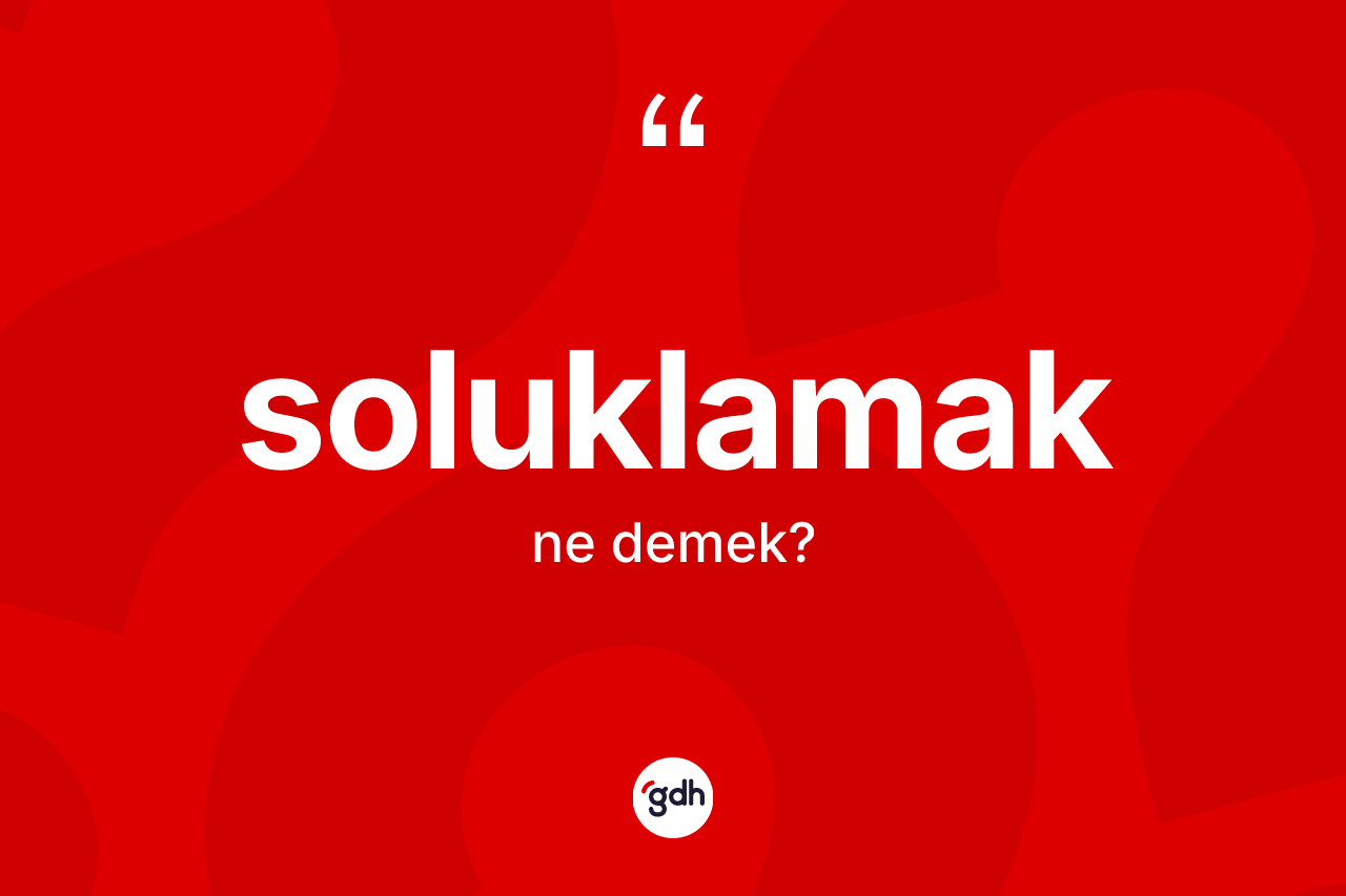 Soluklamak kelimesinin anlamı nedir? Soluklamak kelimesinin TDK'ya göre açıklaması nedir?