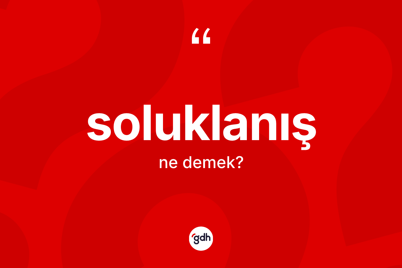 Soluklanış ne demek? Soluklanış kelimesinin TDK anlamı nedir?