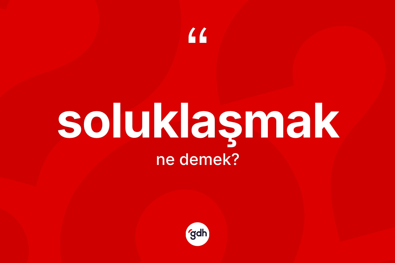 Soluklaşmak kelimesinin tanımı nedir? Soluklaşmağın TDK'ya göre anlamı nedir?