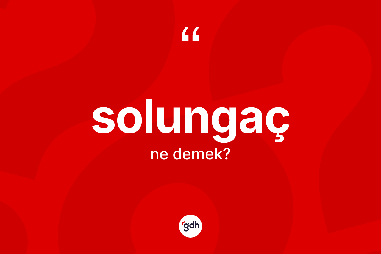 Solungaç nedir? Solungaç kelimesinin özellikleri nelerdir?