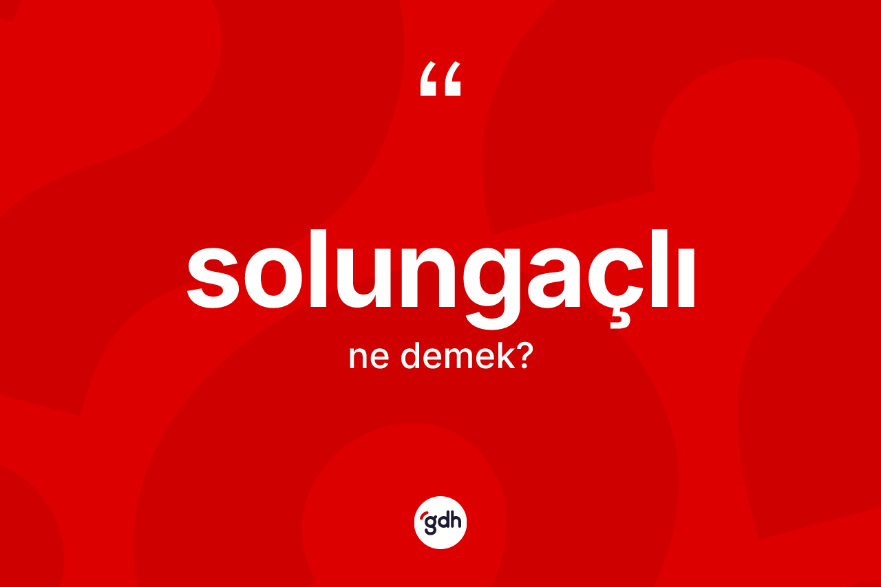 Solungaçlı kelimesi ne anlama gelir? Solungaçlı kelimesinin TDK'ya göre açıklaması nedir?