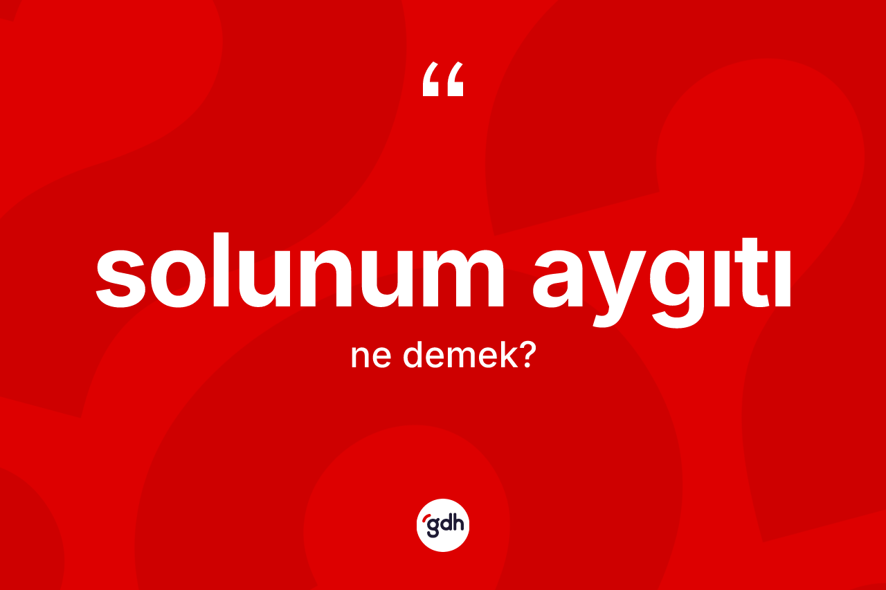 Solunum aygıtı ne anlama gelir?
