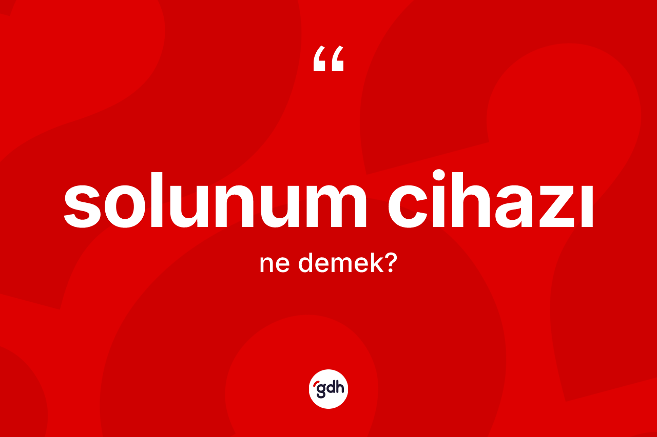 Solunum cihazı kelimesinin tanımı nedir?