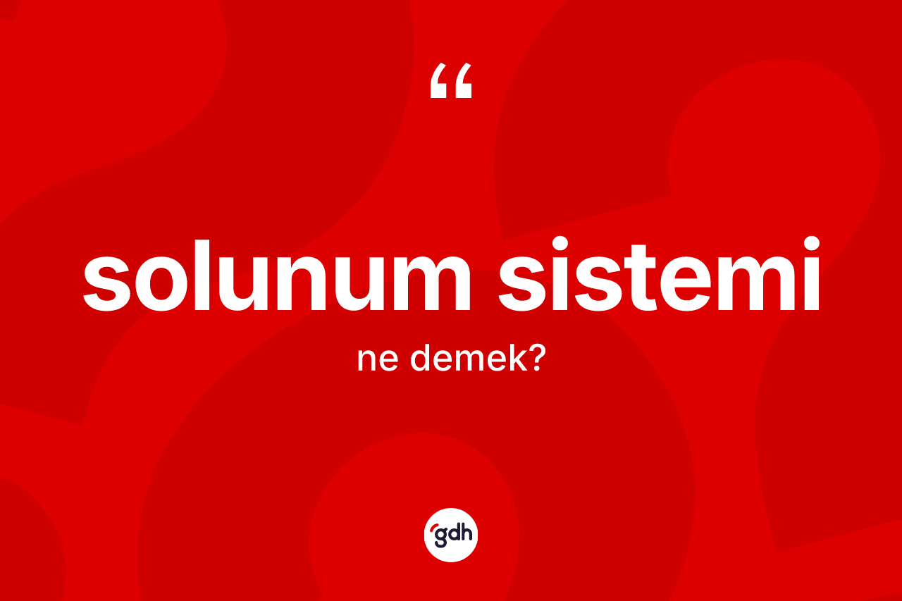 Solunum sistemi kelimesinin tanımı nedir? Solunum sisteminin sözlükteki anlamı nedir?