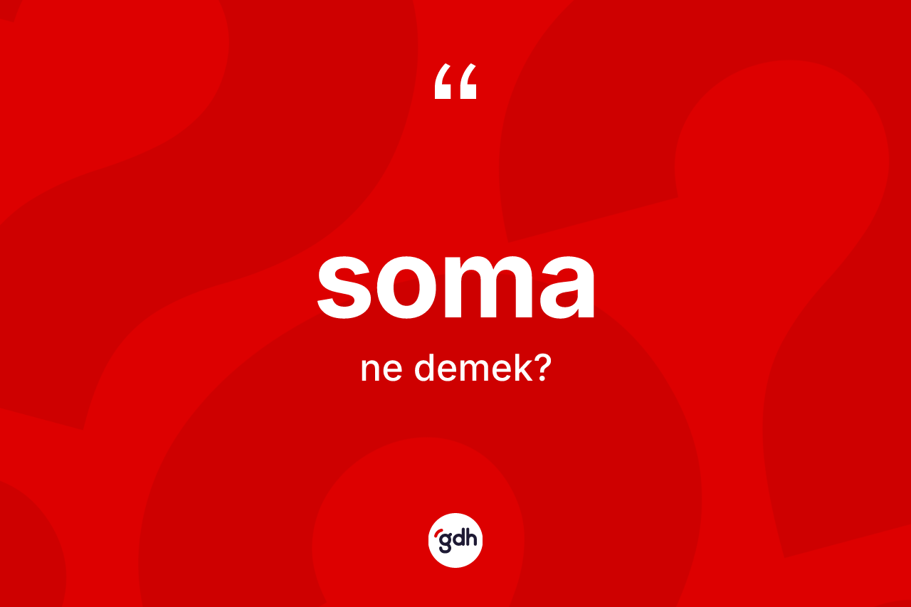 Soma ne anlama gelir? Somanın sözlükteki anlamı nedir?