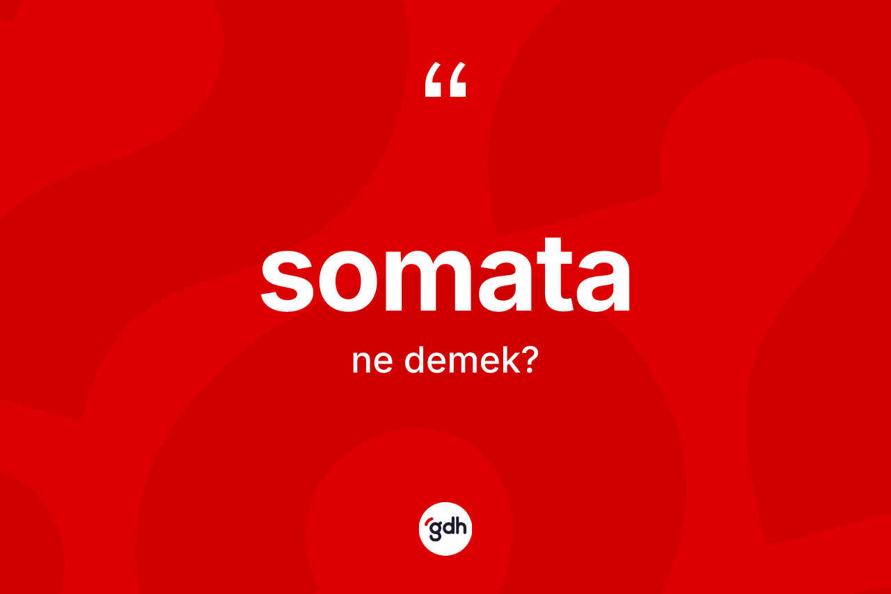 Somata kelimesinin tanımı nedir? Somatanın TDK'ya göre anlamı nedir?