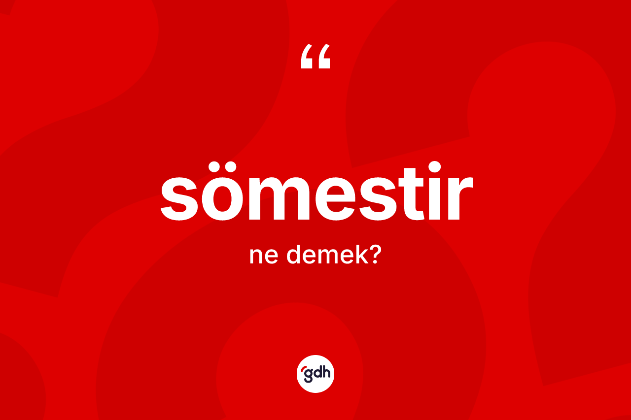 Sömestir nedir? Sömestir kelimesinin TDK anlamı nedir?