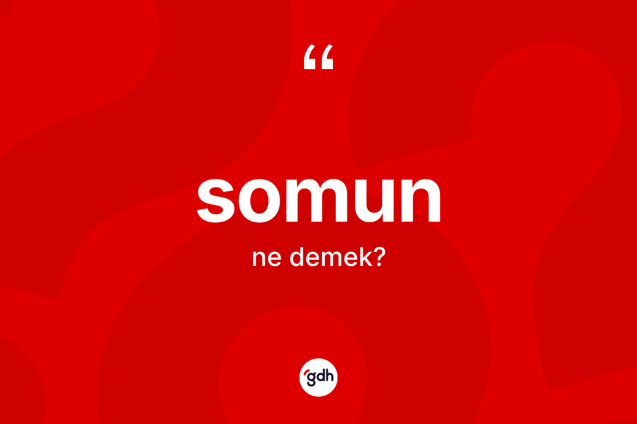Somun kelimesinin anlamı nedir? Somunun halk arasındaki kullanımı nasıldır?
