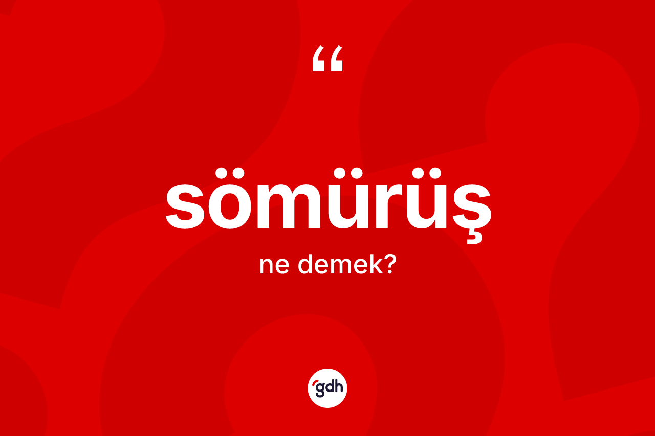 Sömürüş kelimesinin tanımı nedir? Sömürüş kelimesinin kaç farklı anlamı var?