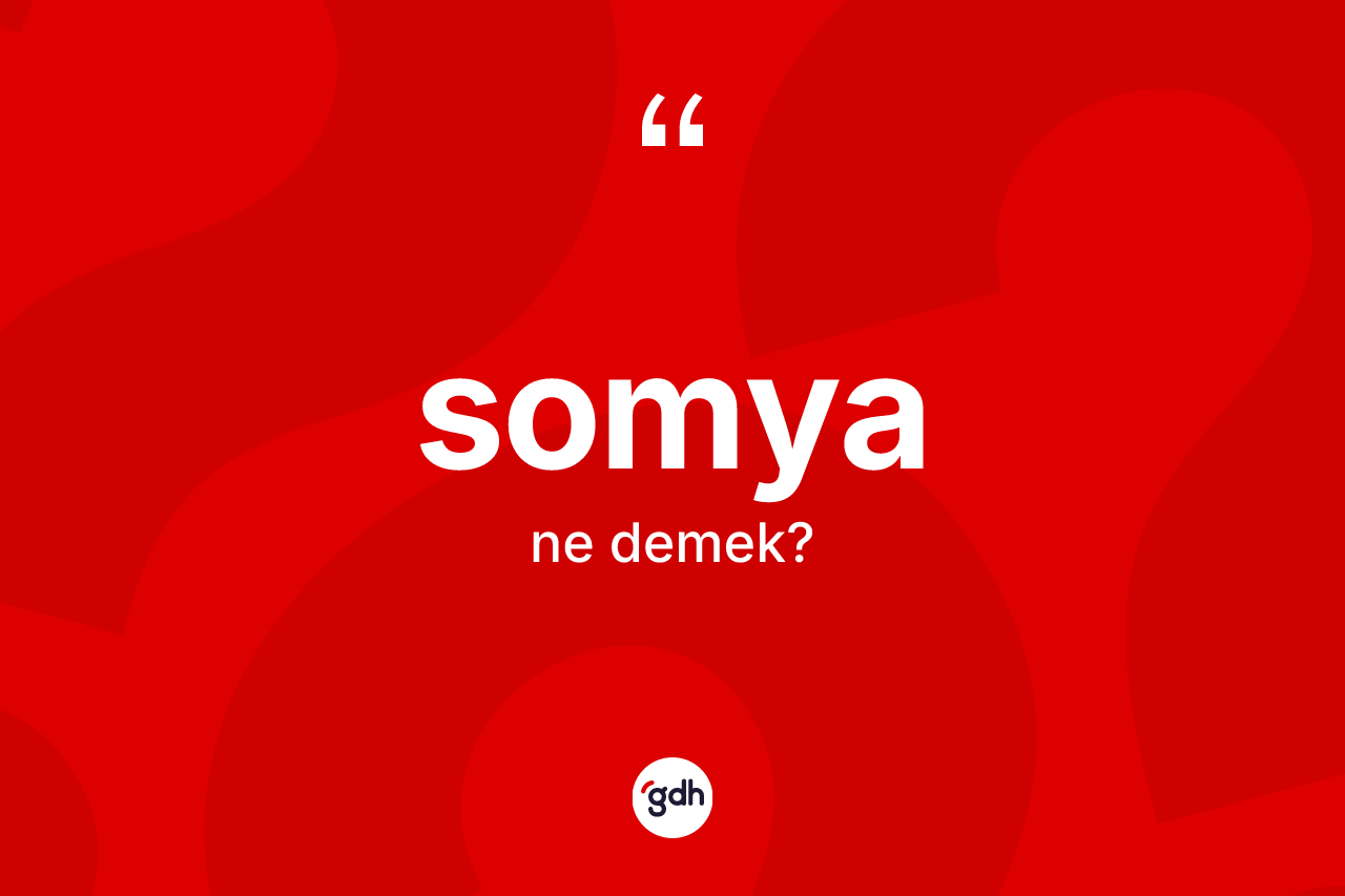 Somya ne anlama gelir? Somyanın kısaca tanımı nedir?