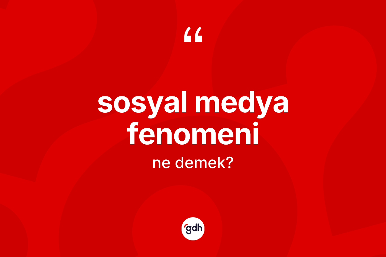 Sosyal medya fenomeni ne anlama gelir? Sosyal medya fenomeninin TDK'ya göre anlamı nedir?
