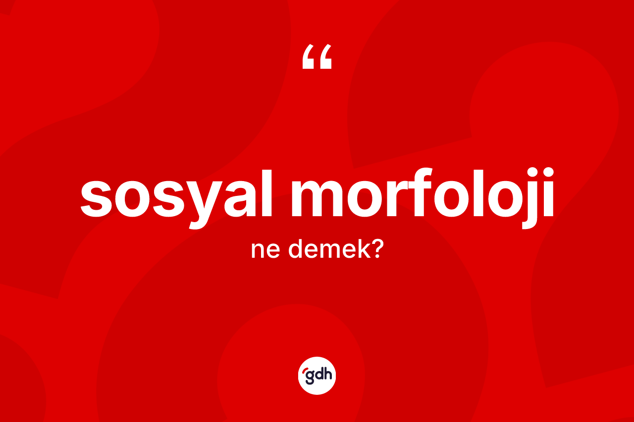 Sosyal morfoloji kelimesinin anlamı nedir?