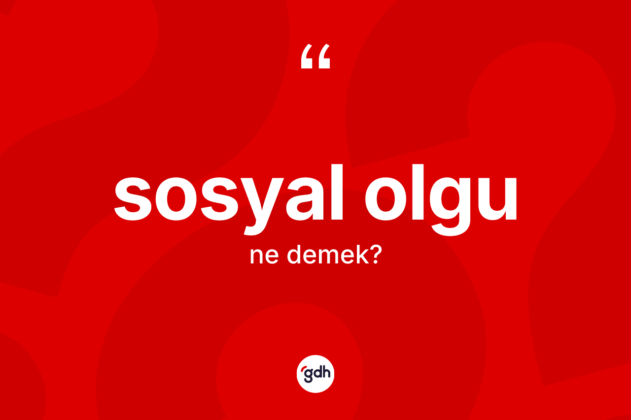 Sosyal olgu kelimesi ne demek? Sosyal olgunun sözlükteki anlamı nedir?