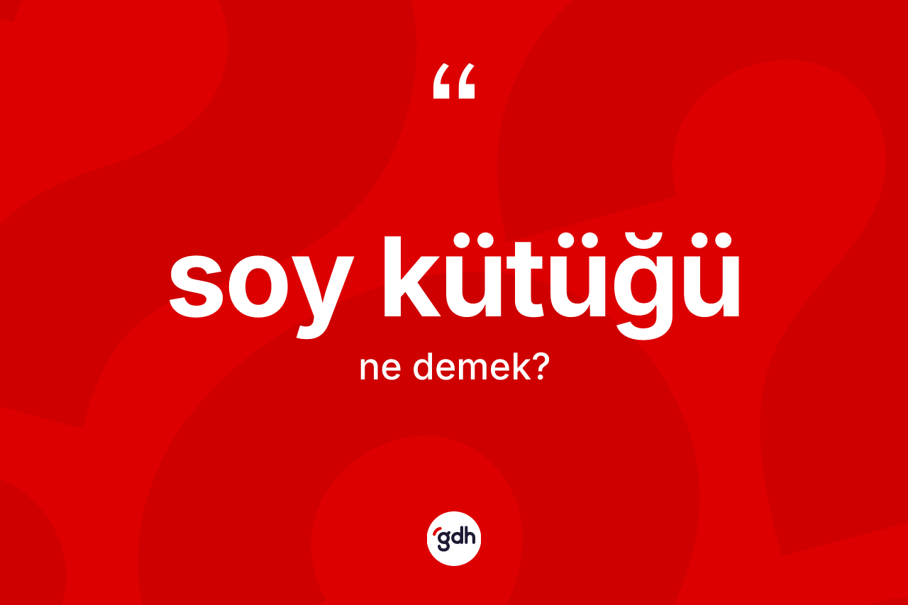 Soy kütüğü kelimesinin tanımı nedir?