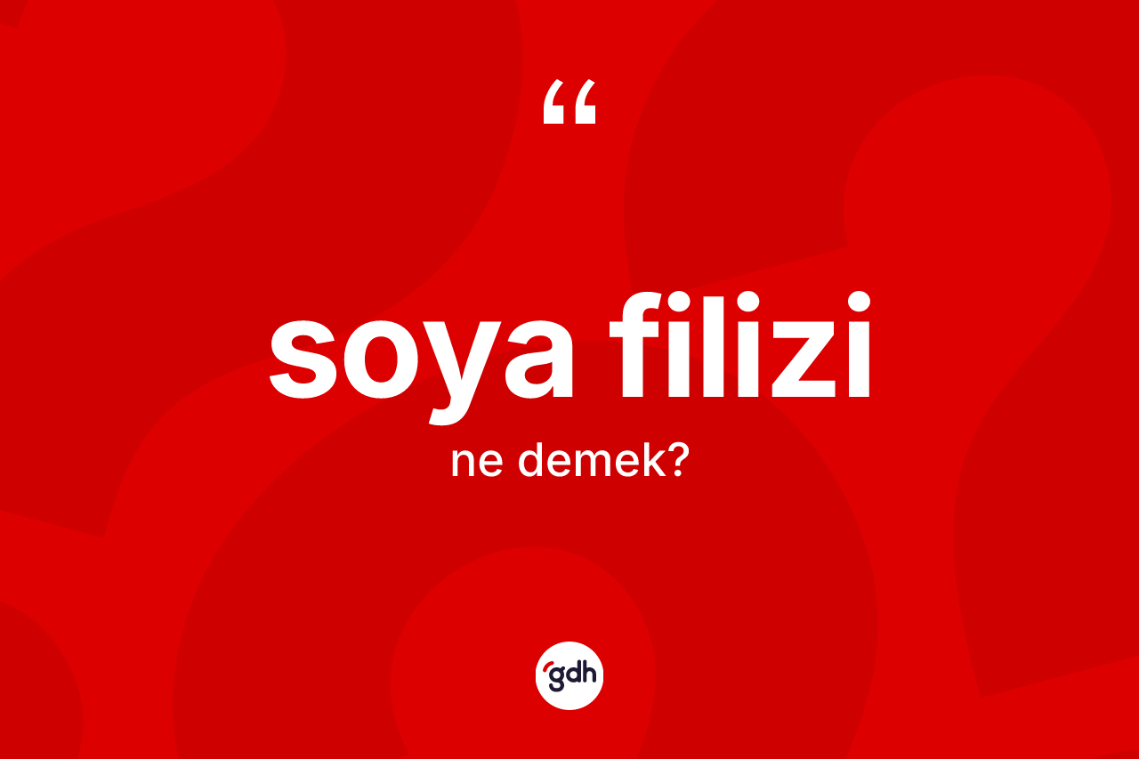 Soya filizi kelimesinin anlamı nedir? Soya filizinin TDK'ya göre anlamı nedir?