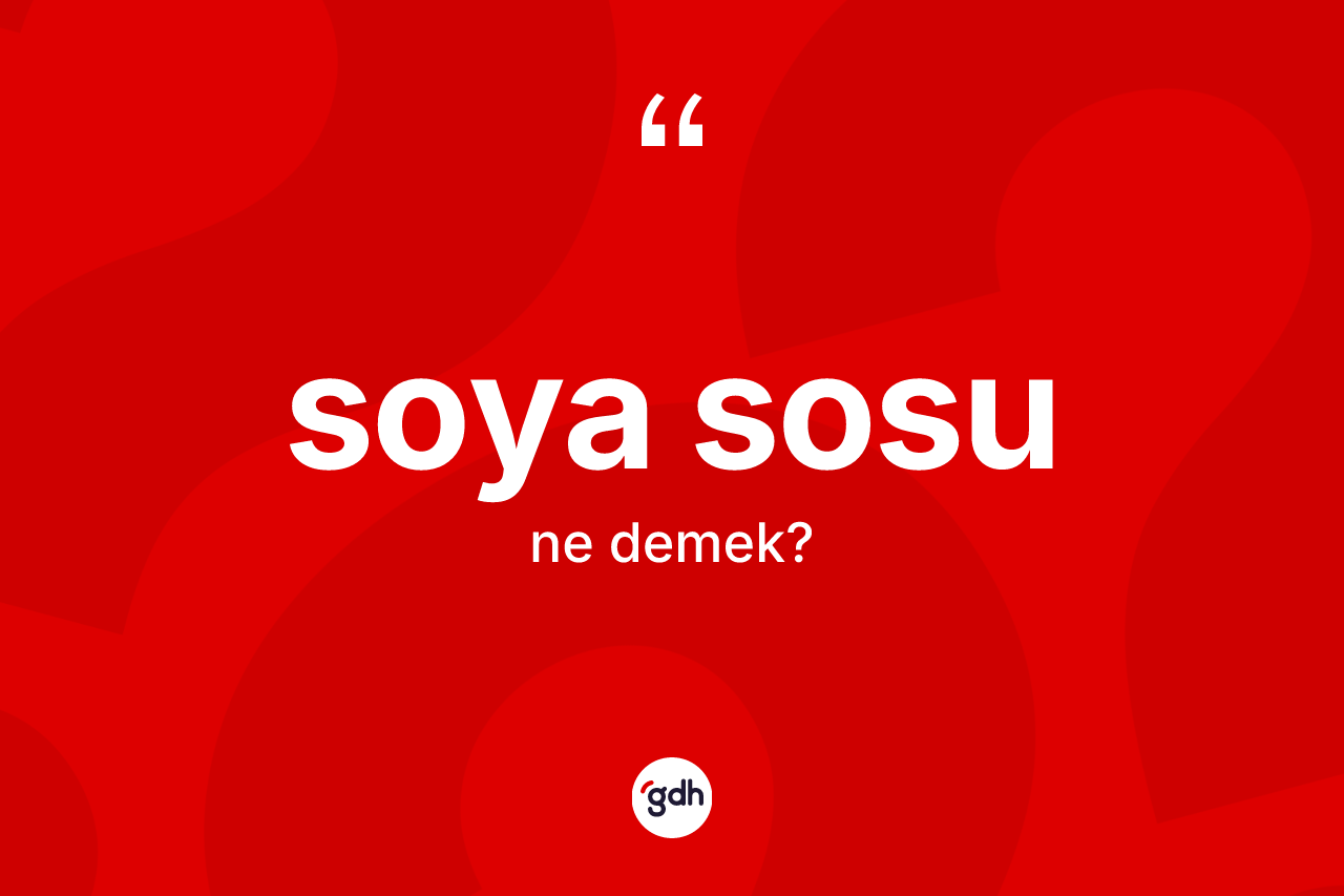 Soya sosu kelimesi ne demek? Soya sosunun kısaca tanımı nedir?