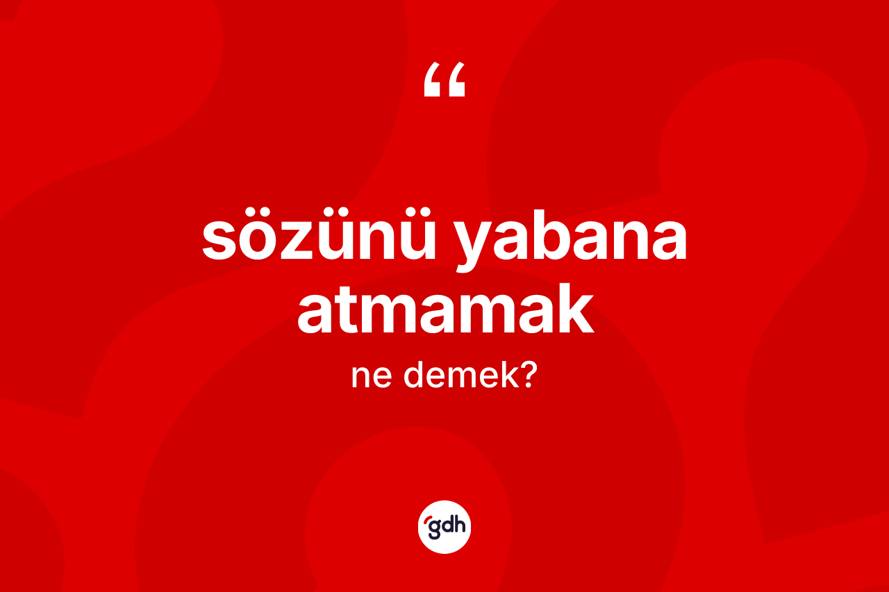 Sözünü yabana atmamak ifadesinin anlamı nedir?