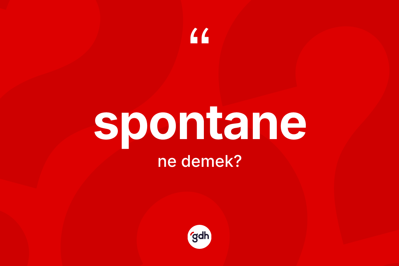 Spontane ne demek?