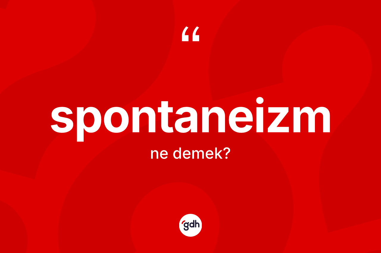 Spontaneizm kelimesi ne demek?