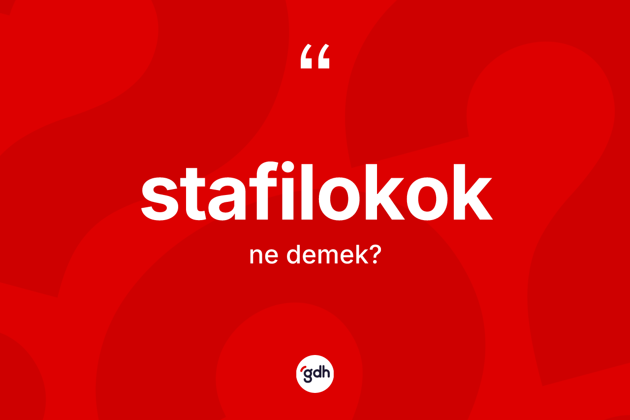 Stafilokok kelimesinin anlamı nedir?