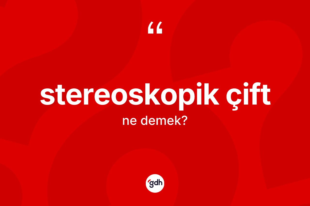 Stereoskopik çift kelimesinin anlamı nedir?
