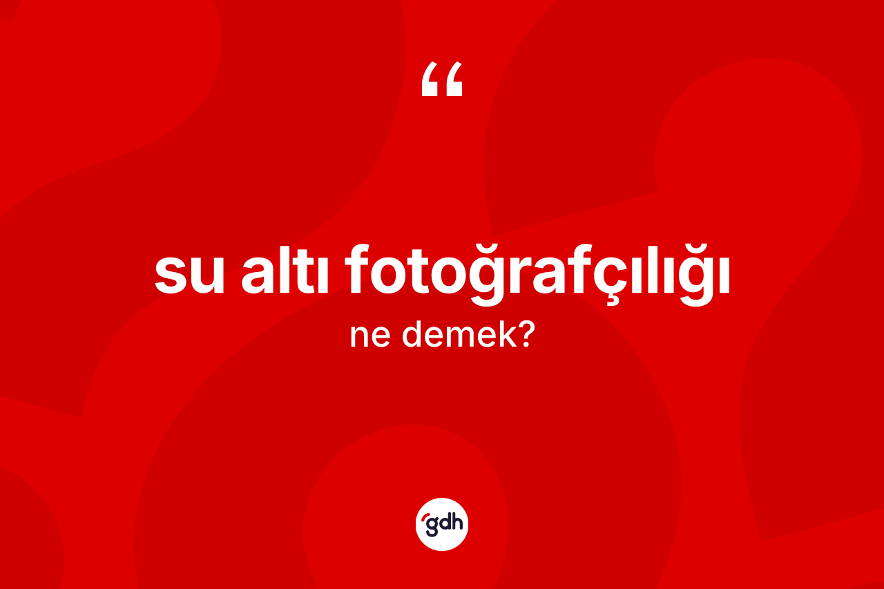 Su altı fotoğrafçılığı kelimesi ne anlama gelir? Su altı fotoğrafçılığı kelimesinin özellikleri nelerdir?