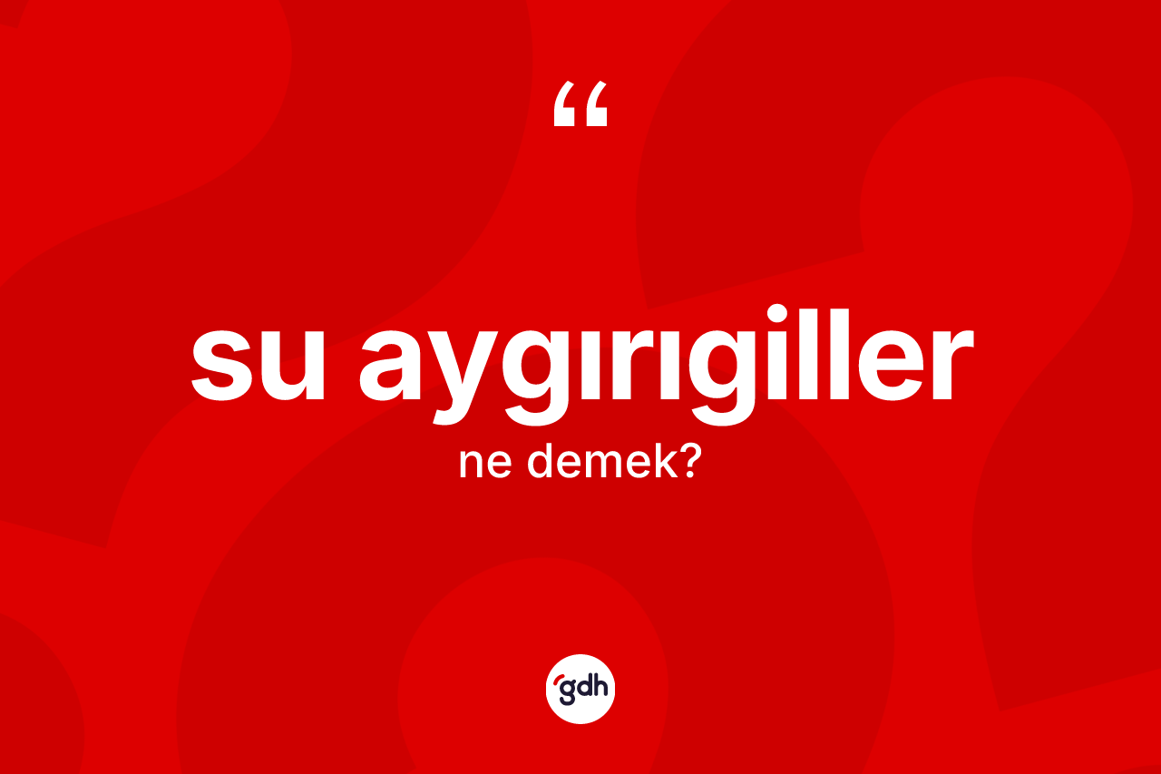 Su aygırıgiller kelimesinin sözlükteki tanımı nedir?