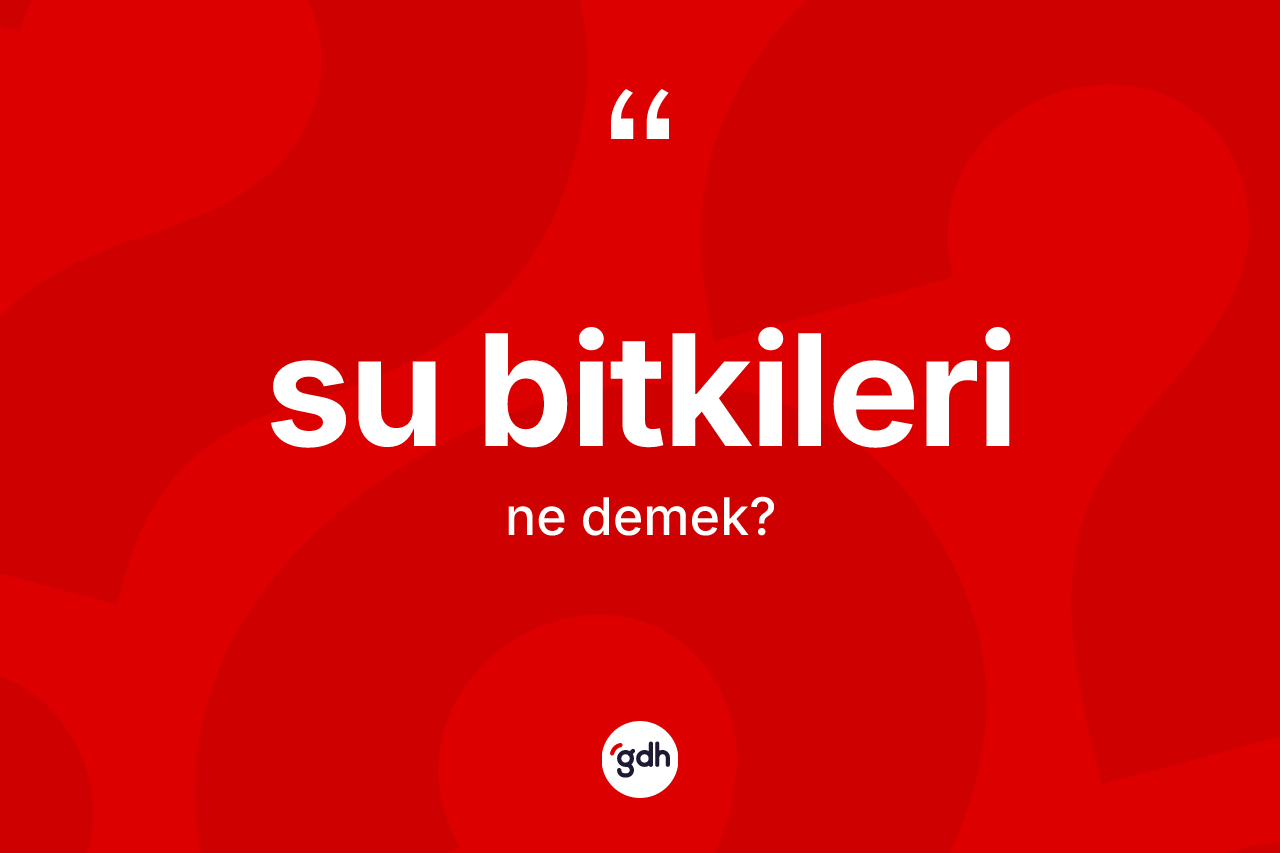 Su bitkileri ne demek?