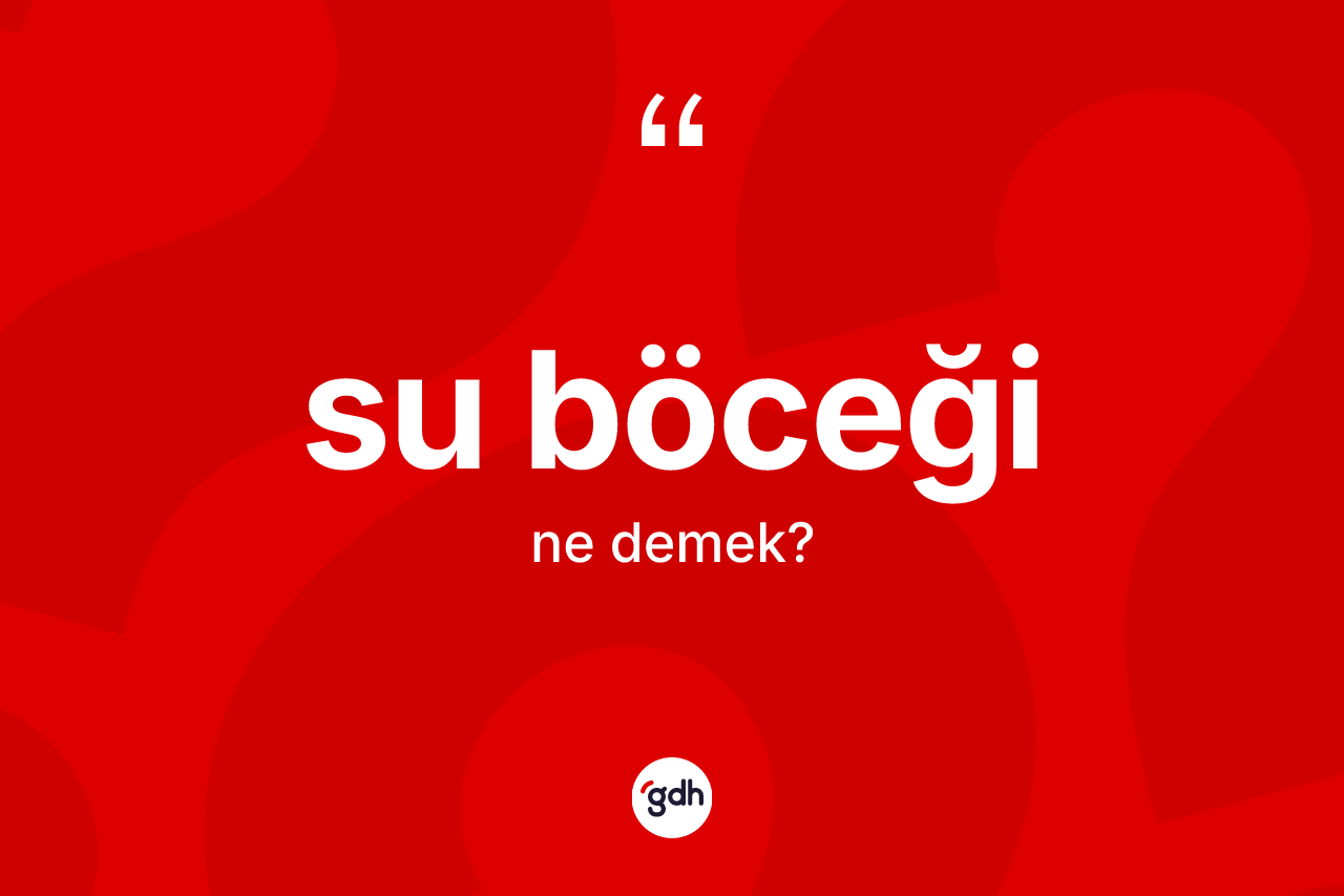 Su böceği kelimesinin anlamı nedir?