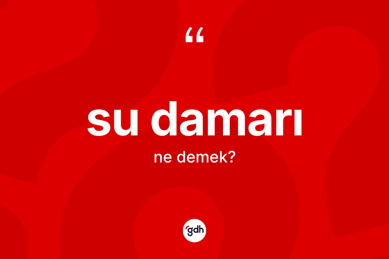 Su damarı kelimesinin sözlükteki tanımı nedir? Su damarının TDK'ya göre anlamı nedir?